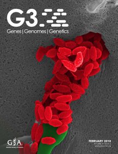 G3 cover