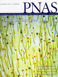 PNAS cover