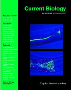 Current Biology cover