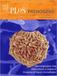 PLOS Pathogens cover