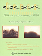 Cell and Molecular Biology cover
