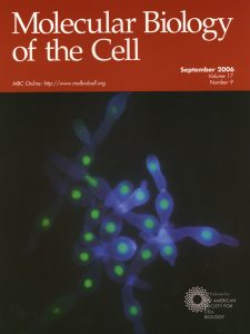 Molecular Biology of the Cell cover