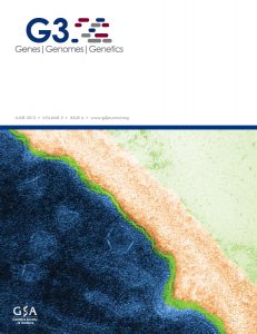 G3 Cover