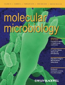Molecular Microbiology cover