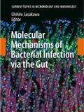 Molecular Mechanisms of Bacterial Infection via the Gut