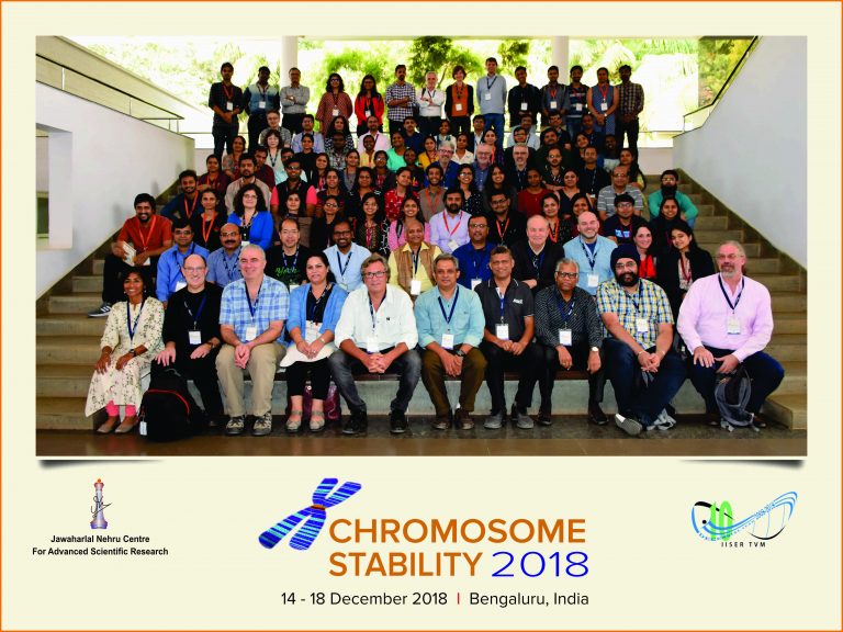 Chromosome Stability 2018