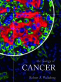 Biology of Cancer