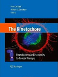 Kinetochore