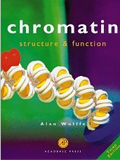 Chromatin