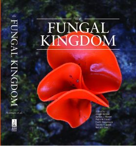 Fungal Kingdom Cover