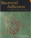 Bacterial Adhesion to Animal Cell and Tissues