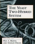 Yeast Two-Hybrid System