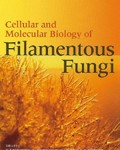 Filamentous Fungi