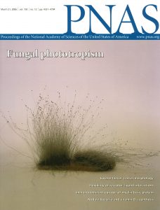 PNAS cover