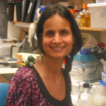 Varsha Singh, PhD