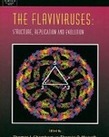 Flaviviruses