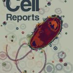 Cell Reports cover