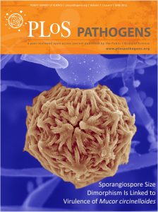 PLoS pathogens cover