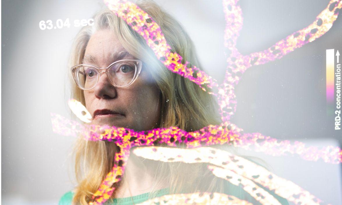 Amy Gladfelter surrounded by microscopic strands of fungal material