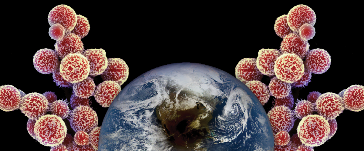The earth superimposed over Cryptococcus fungi