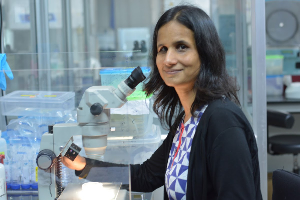 Varsha Singh, PhD