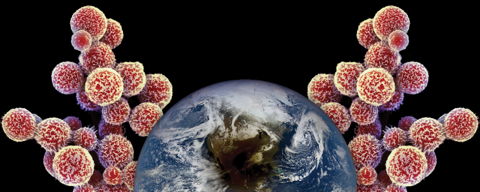 The earth superimposed over Cryptococcus fungi