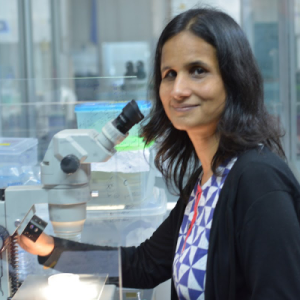 Varsha Singh, PhD