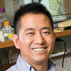 Lingchong You, PhD