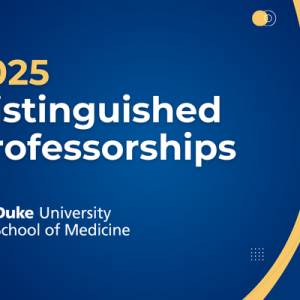 Distinguised Professorships graphic