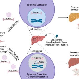 CRISPR gene editing graphic for treating sugar metabolism disorder